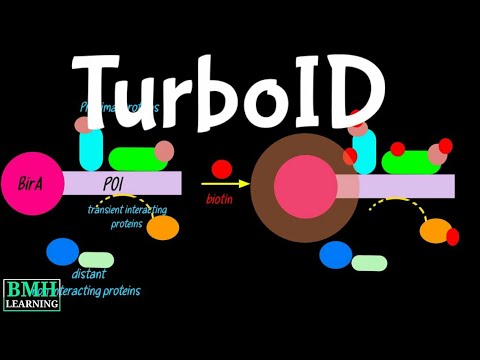 TurboID | BioID | TurboID Based Proximity Labelling | New Proximity Labelling Technology |