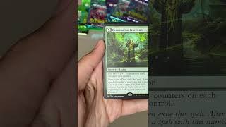 Essa carta salva qualquer booster ruim! ✨ Strixhaven #MTG #MagicTheGathering #commander #strixhaven