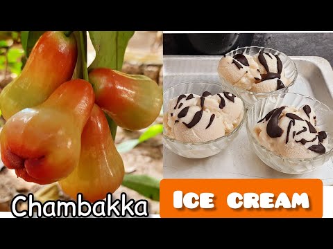 chambakka icecream || prasanna vijayan || ചമ്പക്ക ഐസ്ക്രീം ||kerala