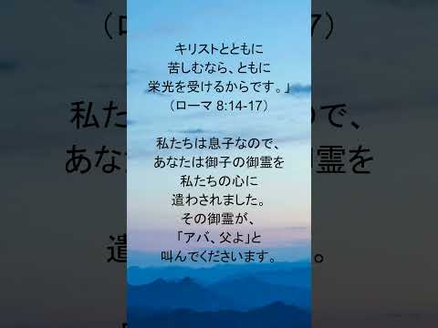 動画を再生