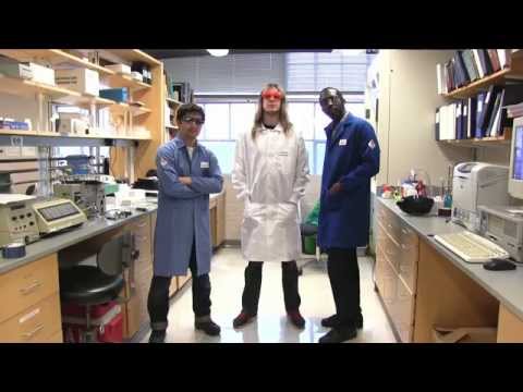 Wear Your Lab Coat - EHSafety