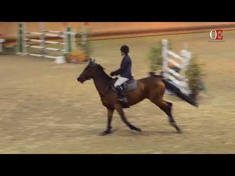 OE TV 3. Valeria Ferrari with Nirvenia | h 135 22.10.17