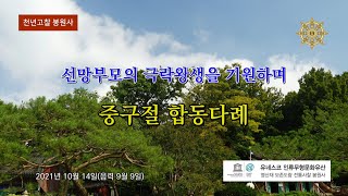 선망부모의 극락왕생을 기원하며…