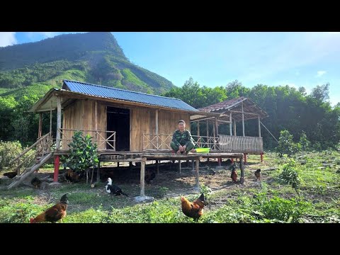 Baue eine Küche, Ausbeutung des Waldhonigs, Lebe mit der Natur, Ninh Van Din