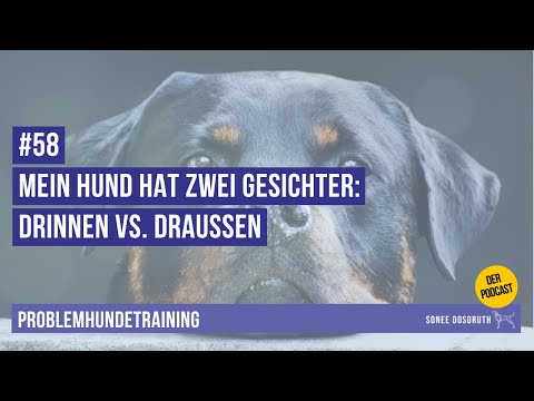 #58 Mein Hund hat zwei Gesichter:  Drinnen vs  Draussen