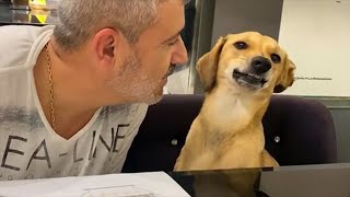 When you are mine 🤣 Funny Dog and Human