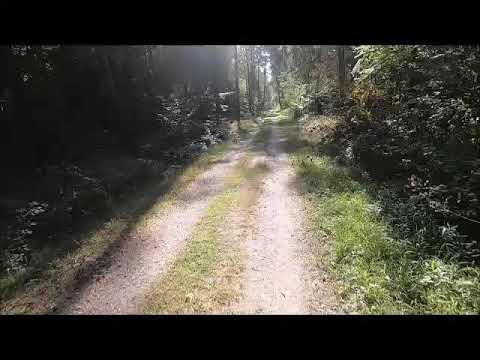 Big Dog`s World Championship - Race Cource Germany