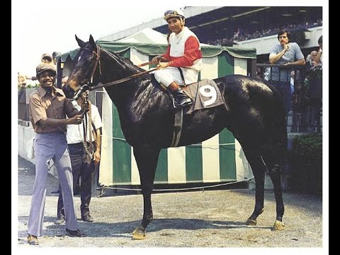 RUFFIAN: SPORTSCENTURY FLASHBACK