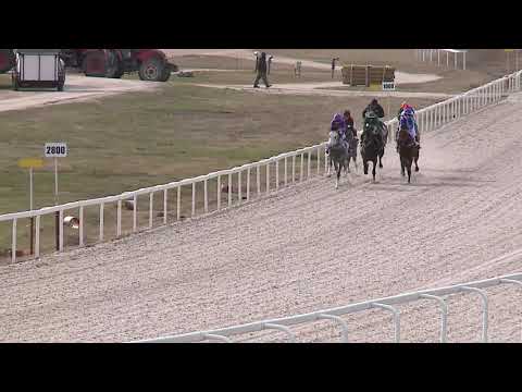 2021.03.28. 05. futam - HÓVIRÁG HENDIKEP (V.o.) (szintetikus pálya)