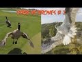 Top 5 Angry Birds Vs Drones 2