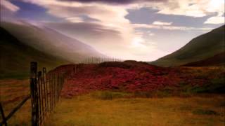 Robyn Hitchcock & The Egyptians ~ Wild Mountain Thyme