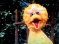 Sesame Street Big Bird S Riddle