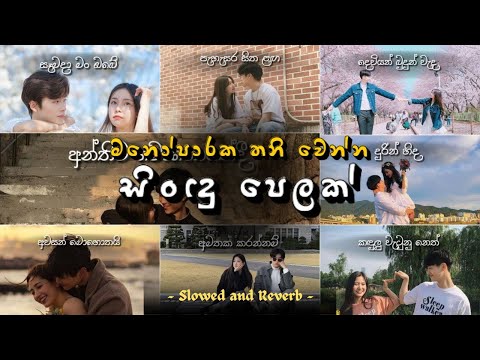 මතක අතරේ තනිවෙන්න මනෝපාරකට Sindu 😫💔 manoparata (slowed + reverb) songs | best Song Collection