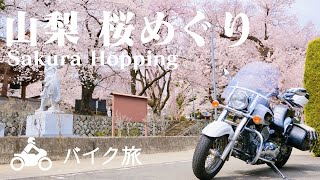 【Travel Vlog】桜めぐりツーリング【DSC400】| Japan Sakura Hopping
