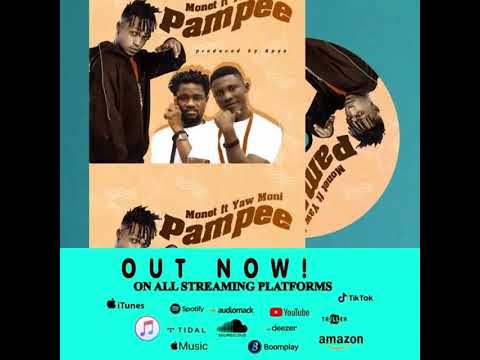monet ft yaw moni pampee
