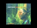 Benny´s Tune - Lionel Loueke (Virgin Forest: 2007)