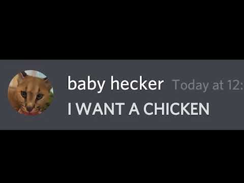 hecker attacked bingus \\ chicken