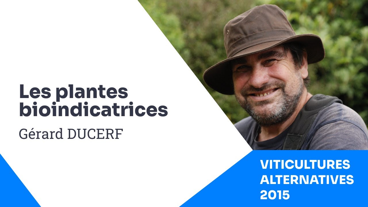 Les plantes bio indicatrices  -  Gérard Ducerf