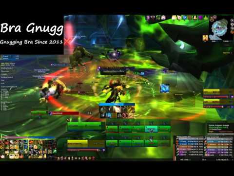 Holy Pala POV-Mythic Desolate Host First kill/BraGnugg