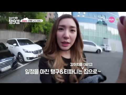 151105 Taeng9Cam TaeNy cut - Taeyeon & Tiffany picking up Prince in pet day care