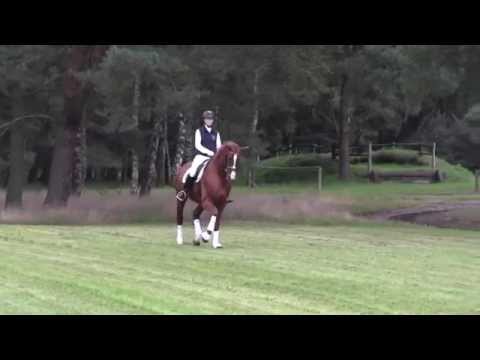 Donatus v. Don Frederico - Weltruhm in der Heide 2015