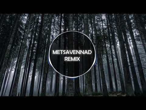 Metsavennad - Sallucinate Remix