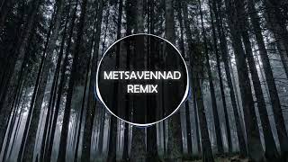 Metsavennad - Sallucinate Remix