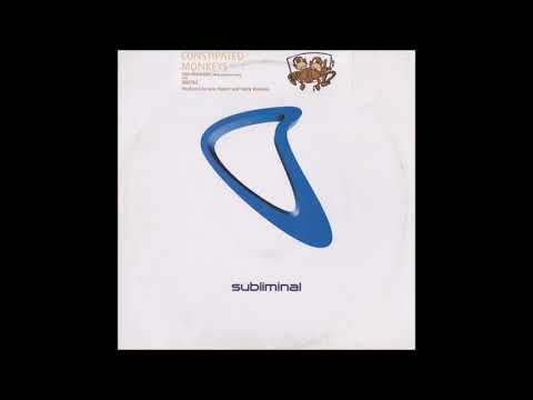 Constipated Monkeys - Cro Magnon (Edit)