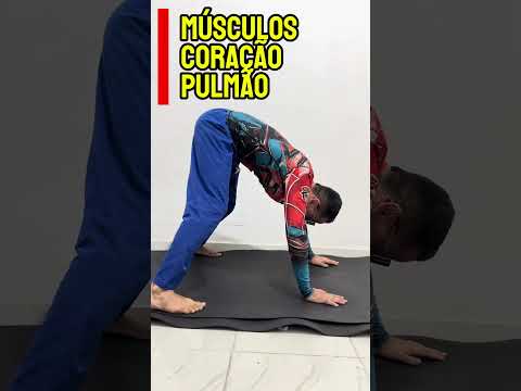 CÁRDIO ESPECÍFICO para JIU-JITSU em casa