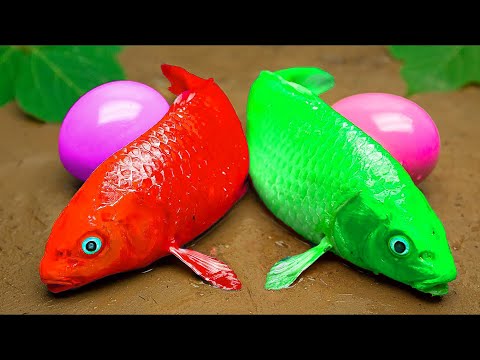 Couple Sword God Carp Fight With Eels To Find Treasure - Eels, Catfish, frog, crab💕Stop Motion ASMR