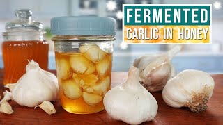 FERMENTED GARLIC in HONEY with Safety Tip To Prevent Honey Botulism Poisoning