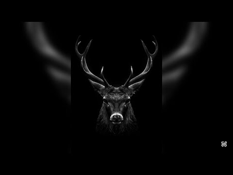 “CIERVO” Boom Bap Instrumental - Hip Hop Beat