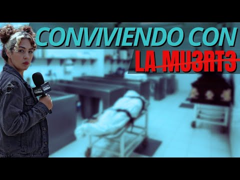 THIS IS THE LIFE OF AN EMBALMER - Social Noise