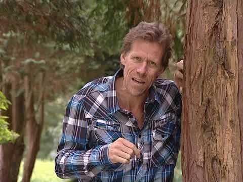 Selwerderhof - Beno’s Stad 370 (24-9-2009)