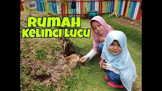 preview picture of video 'Liburan ke tempat wisata rumah kelinci di Kebun pak budi Pasuruan jatim'