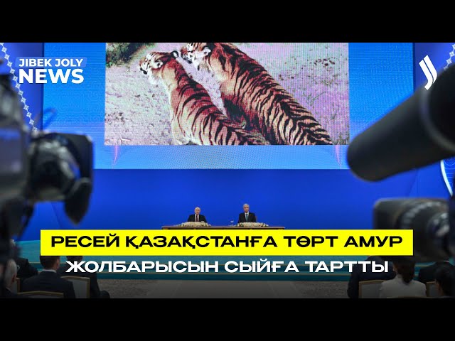 Ресей Қазақстанға төрт Амур жолбарысын сыйға тартты