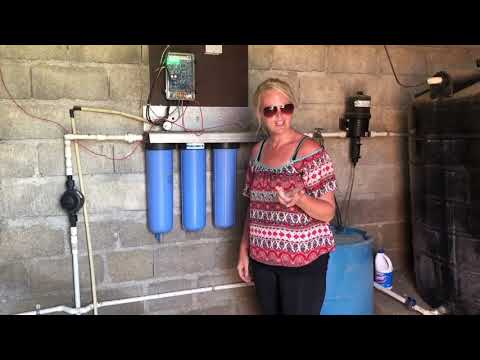 Give Clean Water to 300 New Mothers in North Haiti