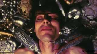 Hallo Venray - Kicking (Vegetables & Fruit)