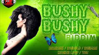 BUSHY BUSHY RIDDIM MIXX BY DJ-M.o.M RICHIE LOOP, TOI, ICECOLD, ICEMAN, ANARAHK and more