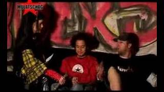 GREEN LIZARD Interview