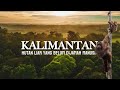 The Life Of Orangutans In The Wild Forests Of Borneo Silent Trails And Jungle Symphony