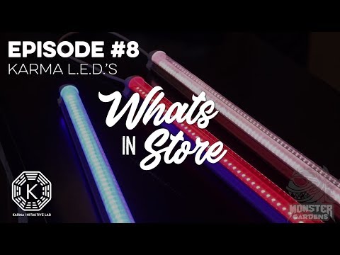 What's in Store? #8 Karma LED's