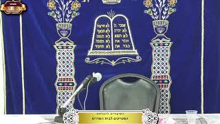 בית המדרש "תורת דוד" ¤ שידור חי ¤ ט' אלול תשפ"ה (2.9.2025) (מוסדות תורת דוד) - התמונה מוצגת ישירות מתוך אתר האינטרנט יוטיוב. זכויות היוצרים בתמונה שייכות ליוצרה. קישור קרדיט למקור התוכן נמצא בתוך דף הסרטון בית המדרש "תורת דוד" ¤ שידור חי ¤ ט' אלול תשפ"ה (2.9.2025) (מוסדות תורת דוד) - התמונה מוצגת ישירות מתוך אתר האינטרנט יוטיוב. זכויות היוצרים בתמונה שייכות ליוצרה. קישור קרדיט למקור התוכן נמצא בתוך דף הסרטון