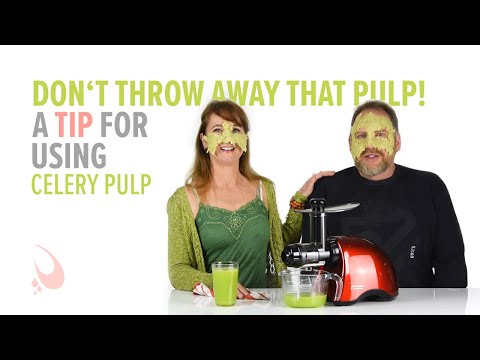download lagu mp3 mp4 Celery Pulp Uses, download lagu Celery Pulp Uses gratis, unduh video klip Celery Pulp Uses