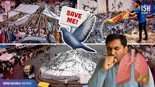 The Kabootarkhana Conflict – Why Are Mumbai’s Pigeons Dying?