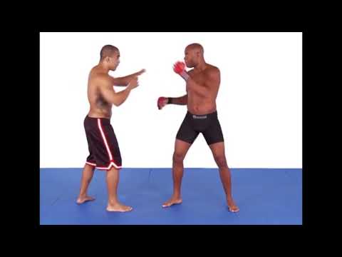 Anderson Silva does his best Bruce Lee impressions