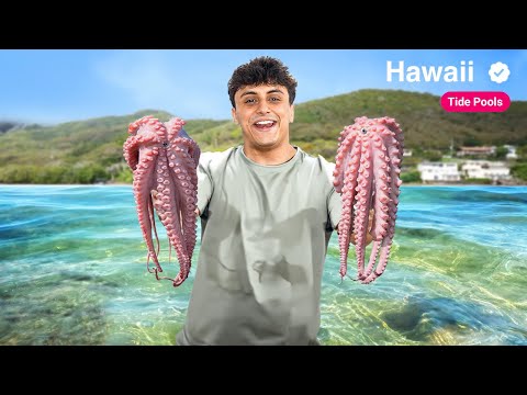 Catching MASSIVE OCTOPUS In Tide Pools