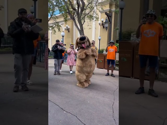 Vídeo relacionado con Disney Official Store Up Dug The Dog - Muñeco de peluche (31 cm, tamaño mediano)