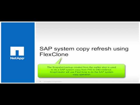 SAP/Oracle on NPS and SoftLayer Cloud Demo
