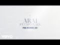 Medy feat. Capo Plaza - Arai (Visualizer)